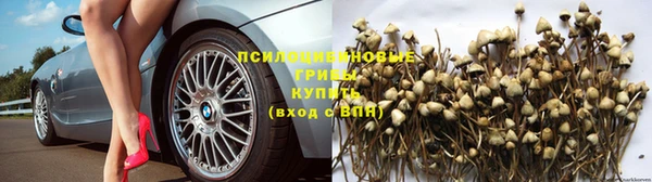jwh Магас