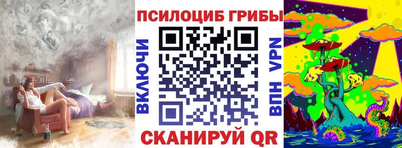 Галлюциногенные грибы Psilocybe  купить наркотики цена  Питкяранта 